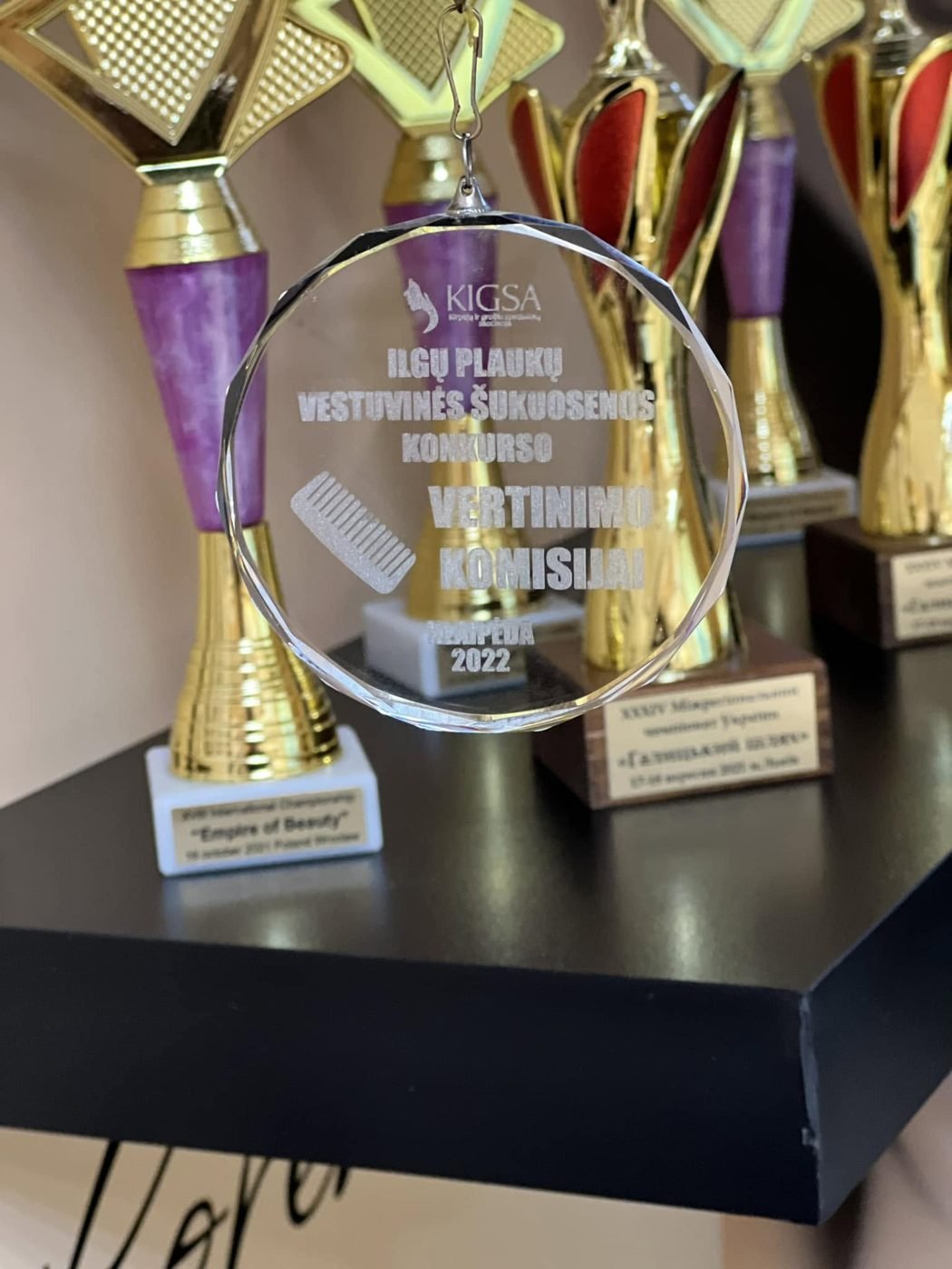 Irinos apdovanojimai tarptautiniuose kirpėjų čempionatuose